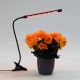 LED Ściemnialna lampa z klipsem do oświetlania roślin LED/3W/230V czarna