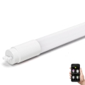 LED Ściemnialna świetlówka fluorescencyjna MESH Inteligentny T8/10W/230V 6500K 60 cm - Aigostar