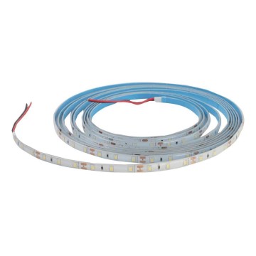 LED ściemnialna taśma łazienkowa DAISY 5m biała dzienna IP65