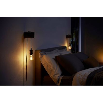 LED Żarówka ściemnialna Philips HUE WHITE FILAMENT G93 E27/7W/230V