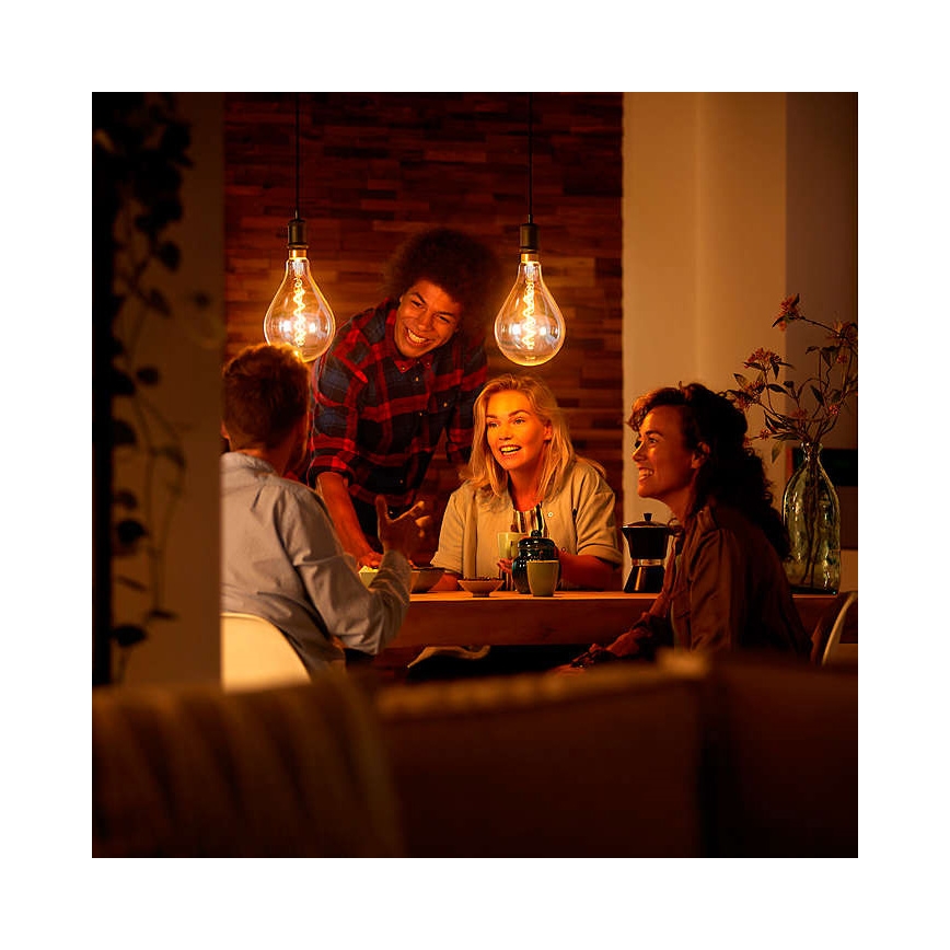 LED Ściemnialna żarówka VINTAGE DYI E27/4W/230V 2700K - Leuchten Direkt 0846