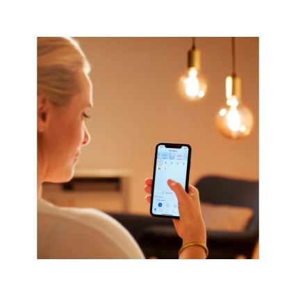 LED Ściemnialna żarówka VINTAGE FILAMENT G95 E27/6,7W/230V 2000-5000K CRI 90 Wi-Fi - WiZ
