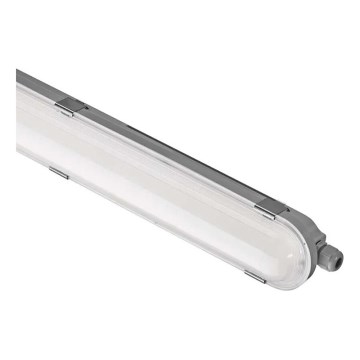 LED Ściemnialne oświetlenie przemysłowe MISTY LED/29/37/45/51W/230V 6500K IP66