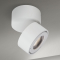 LED ściemnialny łazienkowy Oświetlenie punktowe HARVEY LED/15W/230V IP65 biały
