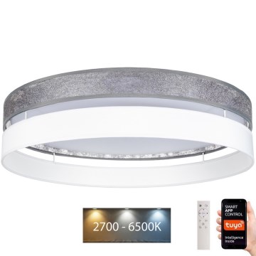 LED Ściemnialny plafon LIMA LED/36W/230V 2700-6500K Wi-Fi Tuya + pilot srebrny/biały