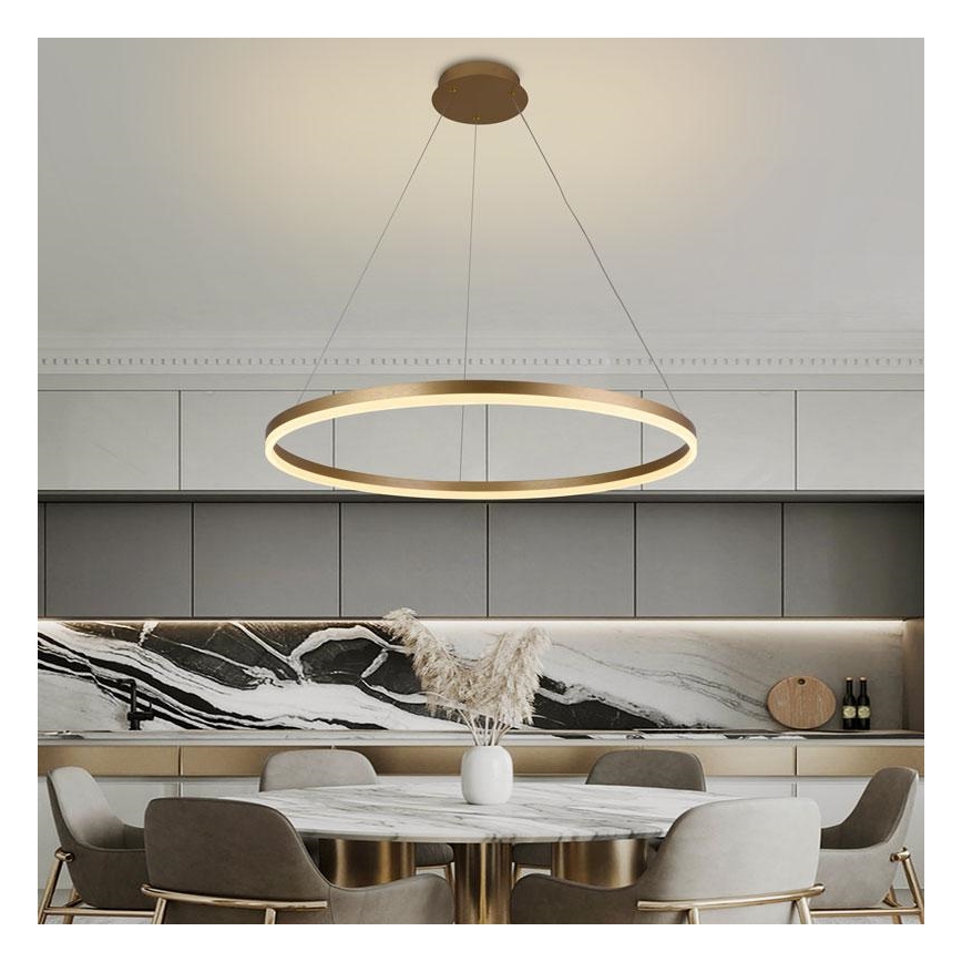 LED Ściemnialny żyrandol na lince LED/55W/230V 3000-6500K + pilot