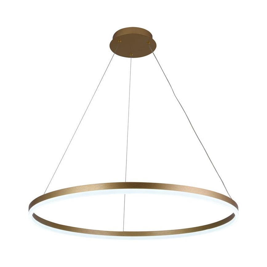 LED Ściemnialny żyrandol na lince LED/55W/230V 3000-6500K + pilot