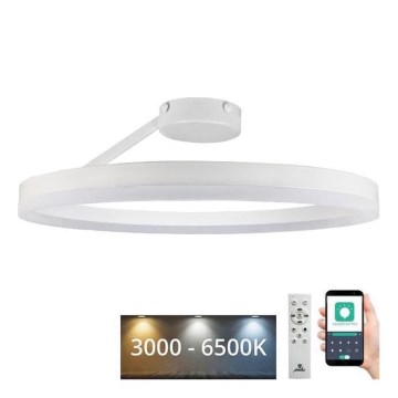 LED Ściemnialny żyrandol natynkowy LED/40W/230V 3000-6500K biały + zdalne sterowanie