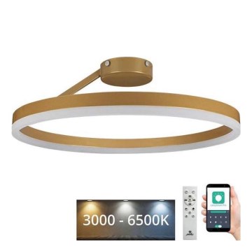 LED Ściemnialny żyrandol natynkowy LED/40W/230V 3000-6500K złoty + zdalne sterowanie