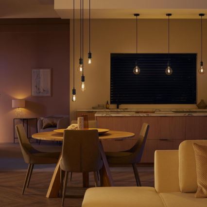 LED Ściemniana żarówka Philips Hue WHITE AMBIANCE ST72 E27/7W/230V 2200-4500K