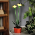 LED Solarne oświetlenie LED/1,2V 200 mAh IP44 kwiat