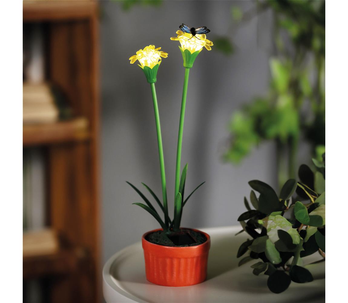 LED Solarne oświetlenie LED/1,2V 200 mAh IP44 kwiat