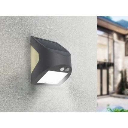 Solarny kinkiet LED z czujnikiem LED/3W/3,7V 3000/4000K 1200 mAh IP54 antracyt