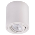 LED Spotlight TUBA 1xGU10/5W/230V 2700K biały