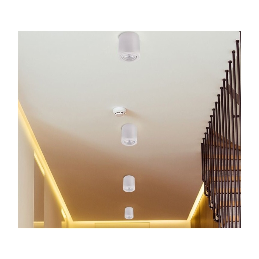 LED Spotlight TUBA 1xGU10/5W/230V 2700K biały