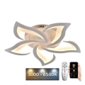 LED Stmívatelný přisazený lustr LED/55W/230V 3000-6500K + dálkové ovládání