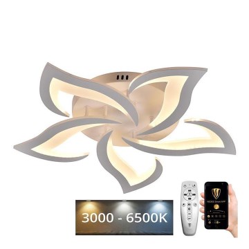 LED Stmívatelný přisazený lustr LED/55W/230V 3000-6500K + dálkové ovládání