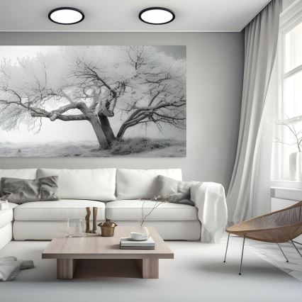 LED Lampa sufitowa MAQ LED/24W/230V 3000/4000/6500K IP40 czarna