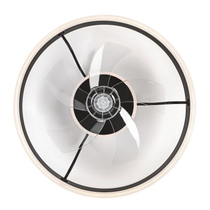 LED Regulowane oświetlenie sufitowe z wentylatorem APOLLO LED/38W/230V czarne + pilot do zdalnego sterowania