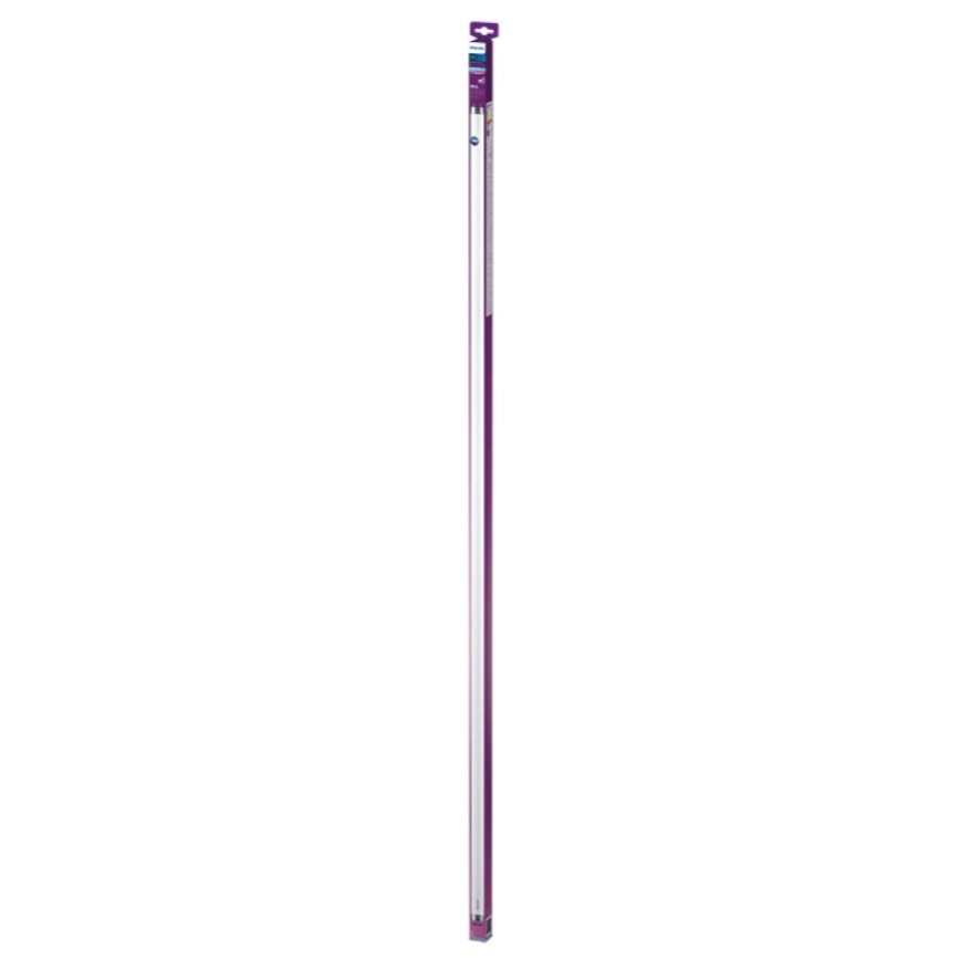 LED Świetlówka Philips T8 G13/19,5W/230V 6500K 150 cm