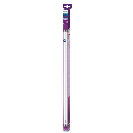 LED Świetlówka Philips T8 G13/8W/230V 6500K 60 cm
