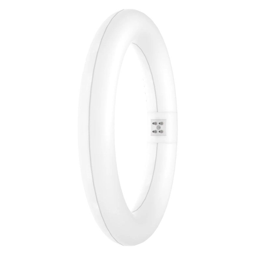 LED Świetlówka SUBSTITUBE T9 G10q/12W/230V 4000K śr. 21,2 cm - Osram