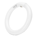 LED Świetlówka T9 G24q-1/22W/230V 6500K - Aigostar