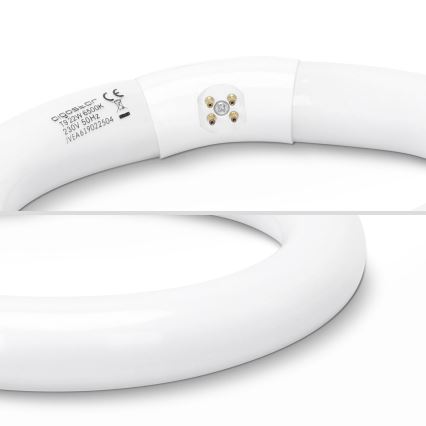 LED Świetlówka T9 G24q-1/22W/230V 6500K - Aigostar