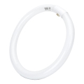 LED Świetlówka T9 G24q-1/32W/230V 6500K - Aigostar