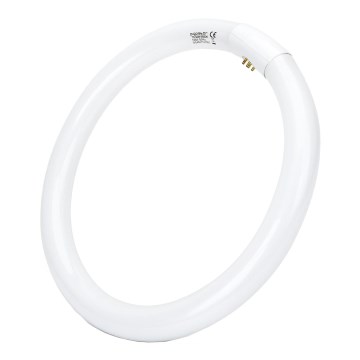 LED Świetlówka T9 G24q-1/32W/230V 6500K - Aigostar