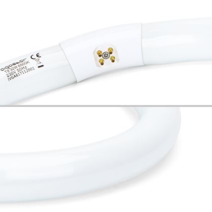 LED Świetlówka T9 G24q-1/32W/230V 6500K - Aigostar