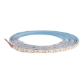 LED Taśma DAISY 5m chłodna biel