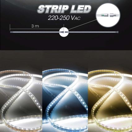 LED Taśma EASY CONNECT LED/14,4W/230V 3m IP67 niebieski
