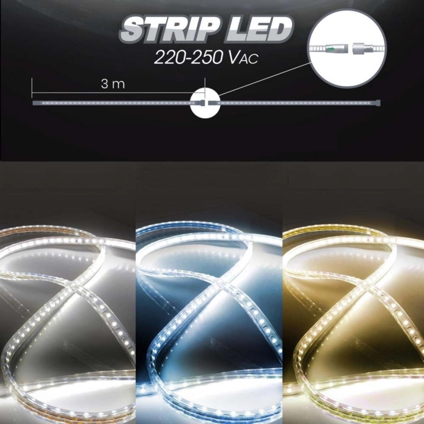 LED Taśma EASY CONNECT LED/14,4W/230V 3m IP67 niebieski