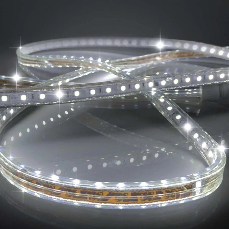 LED Taśma EASY CONNECT LED/14,4W/230V 3m IP67 zimna biel