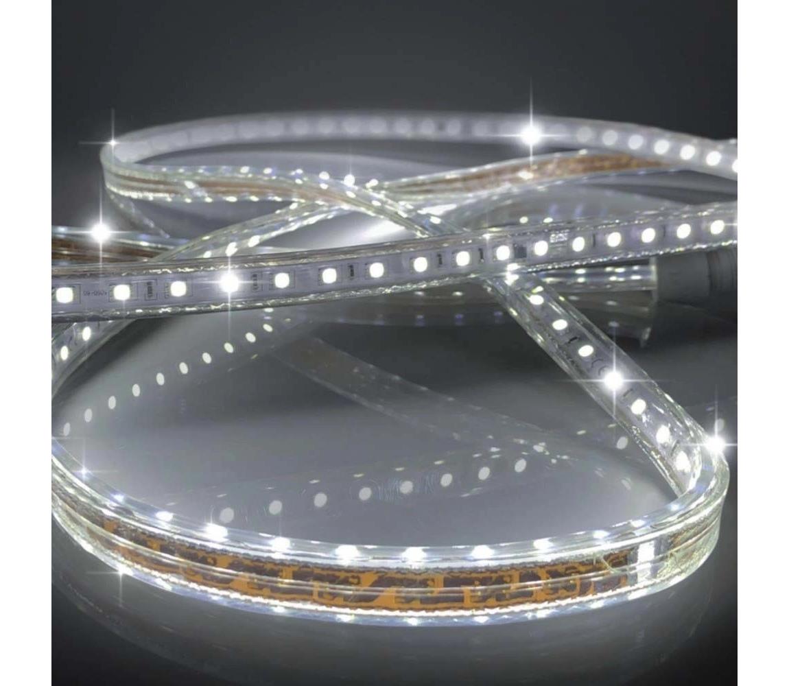 LED Taśma EASY CONNECT LED/14,4W/230V 3m IP67 zimna biel