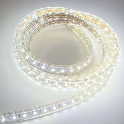 LED Taśma EASY CONNECT LED/14,4W/230V 3m IP67 zimna biel