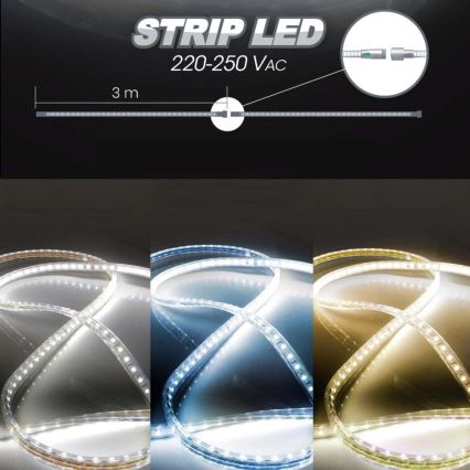 LED Taśma EASY CONNECT LED/14,4W/230V 3m IP67 zimna biel