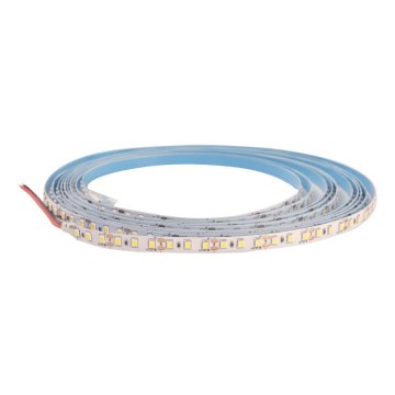LED Taśma ściemnialna DAISY 30m zimna biel