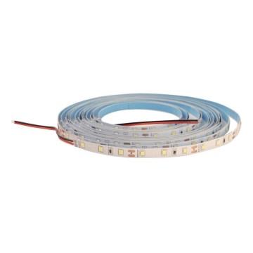 LED Taśma ściemnialna DAISY 5m zimna biel