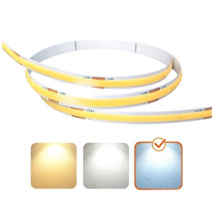 LED Taśma TRAMO LED/500W/24V 50 m 6500K