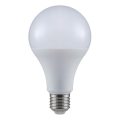 LED Żarówka A80 E27/20W/230V 3000K