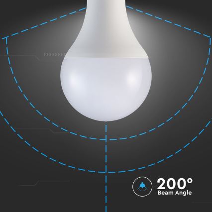 LED Żarówka A80 E27/20W/230V 6500K