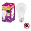 LED Żarówka antybakteryjna A100 E27/13W/230V 4000K - Osram