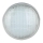 LED Żarówka basenowa LED/35W/12V IP68 6500K
