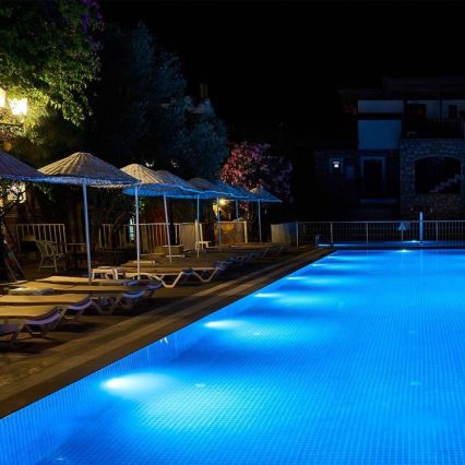 LED Żarówka basenowa LED/35W/12V IP68 6500K