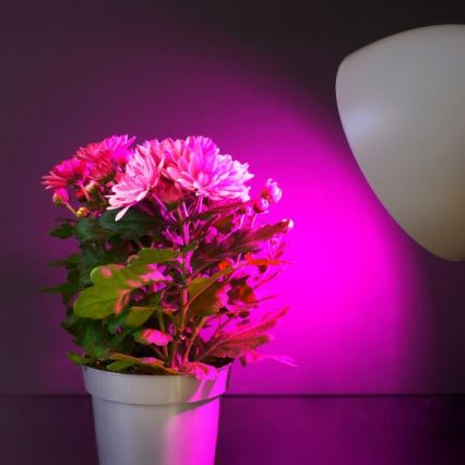 LED Żarówka do wzrostu roślin PLANTY E27/11W/230V 1200K biała