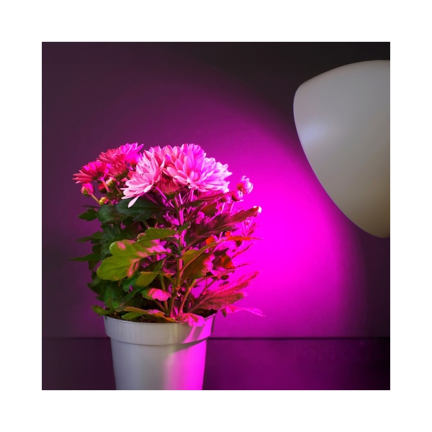 LED Żarówka do wzrostu roślin PLANTY E27/11W/230V 1200K biała