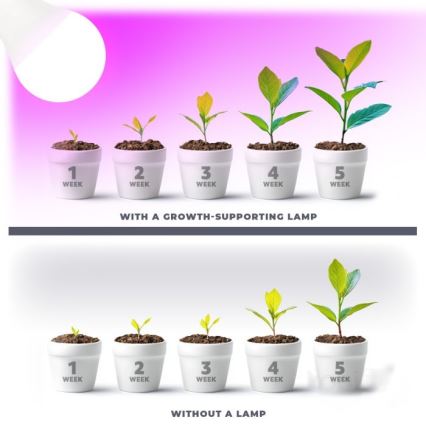 LED Żarówka do wzrostu roślin PLANTY E27/11W/230V 1200K biała