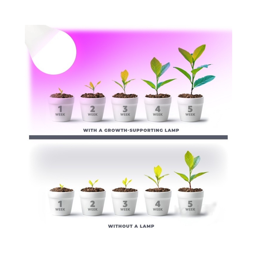 LED Żarówka do wzrostu roślin PLANTY E27/11W/230V 1200K biała